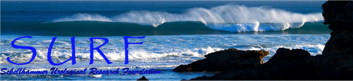 The latest edition of SURF (Schellhammer Urological Research Foundation) The latest edition of SURF (Schellhammer Urological Research Foundation)